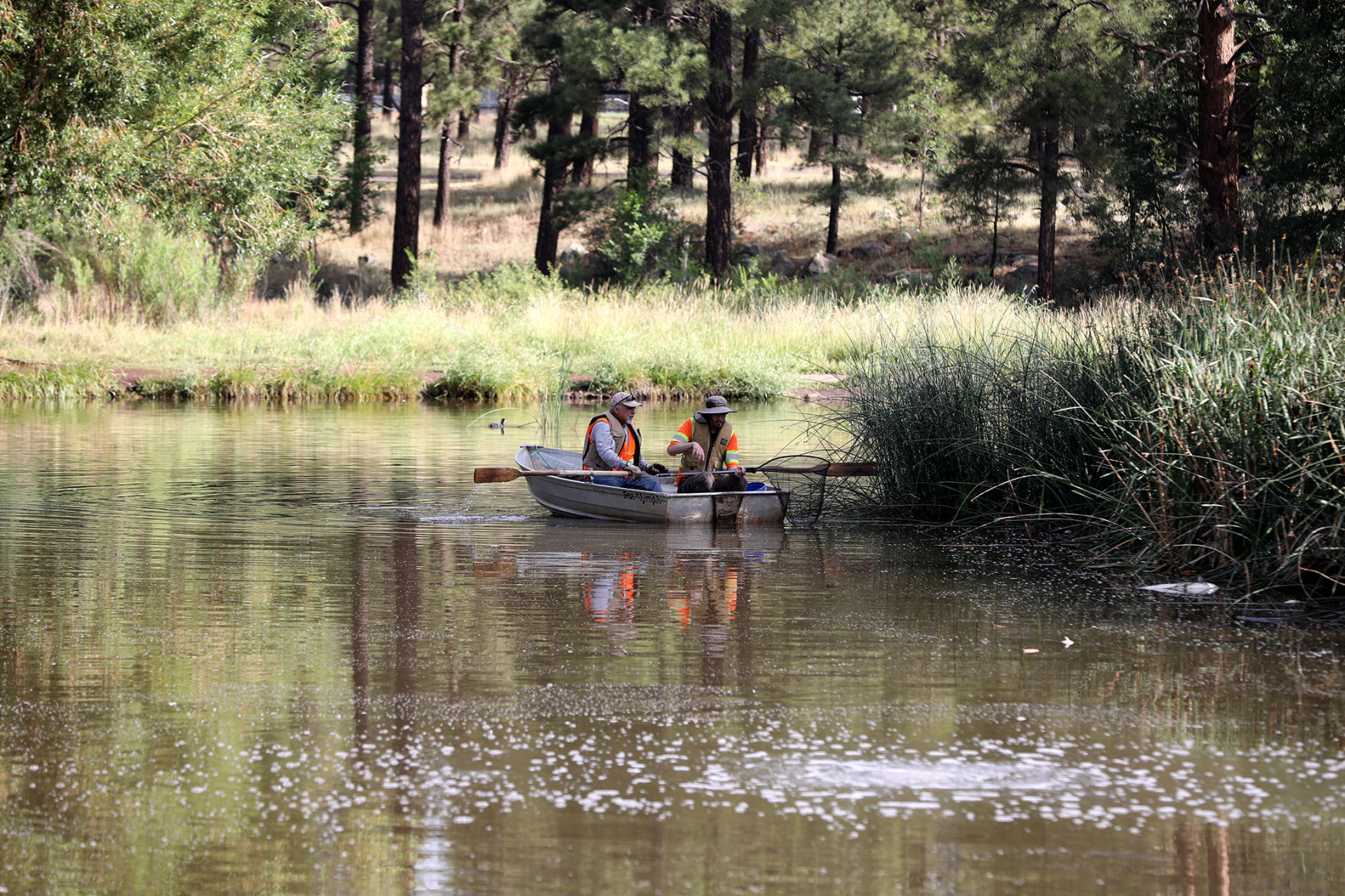 Caring For The Pond